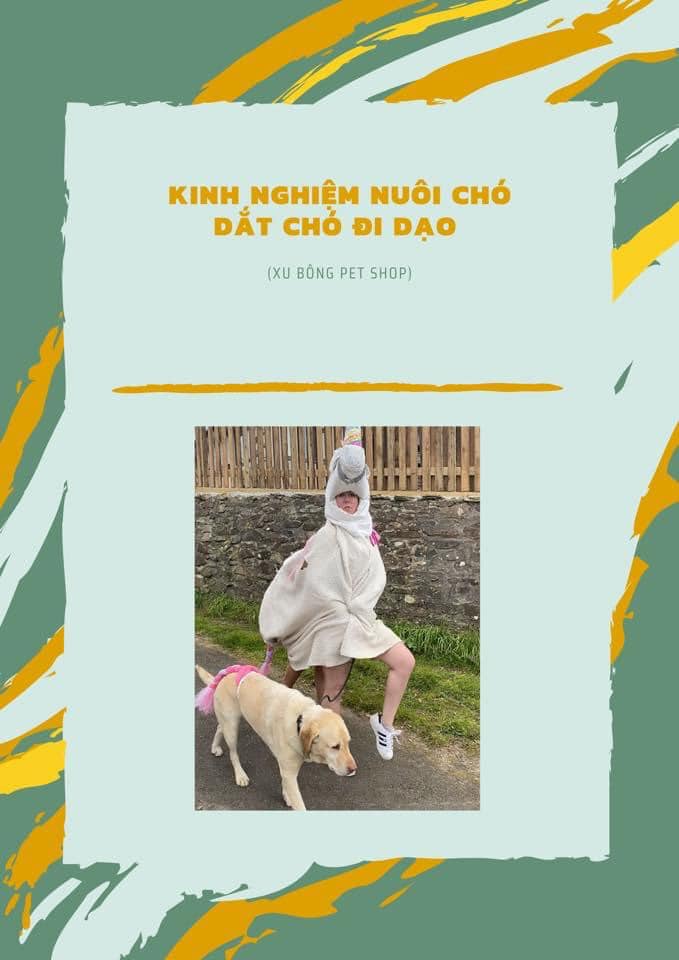 Infographic Kinh Nghiệm Nuôi Chó Dắt Chó Đi Bộ