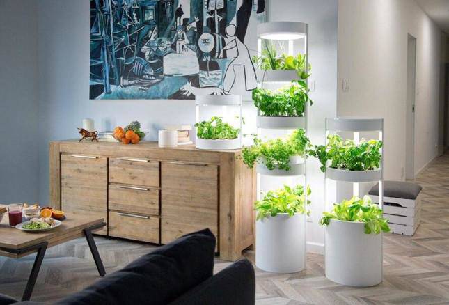 Bổ sung đèn Led chiếu sáng kệ rau của mình