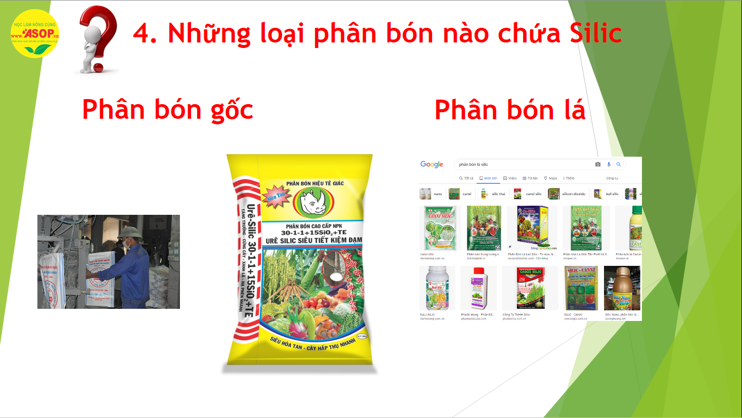 phân bón chứa silic