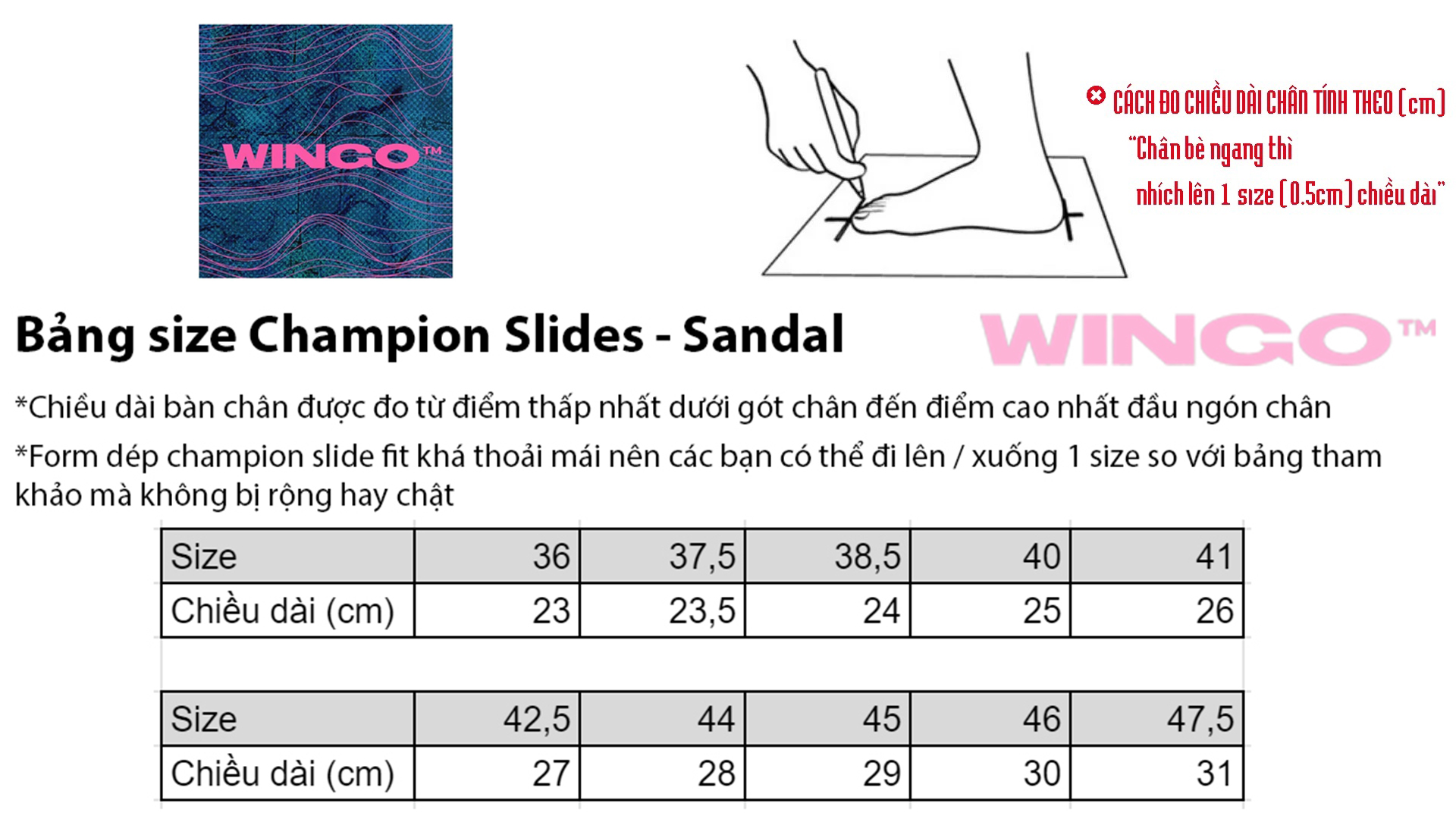 Bang size champion slides