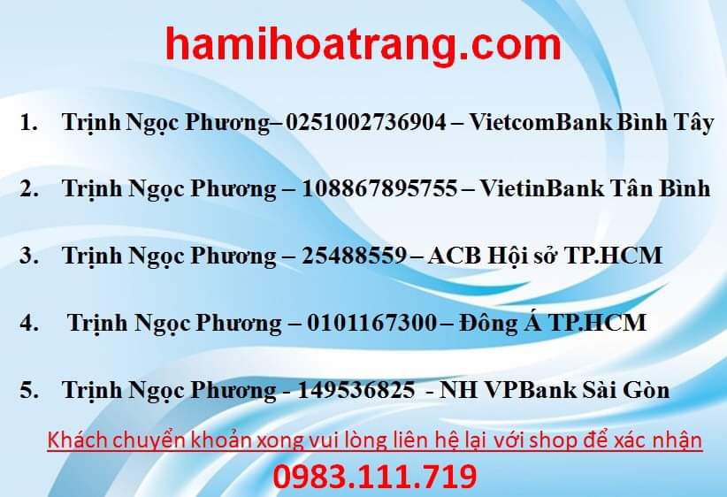 ha-mi-hoa-trang