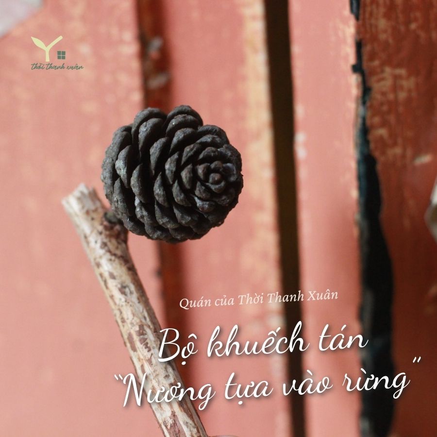 Bộ khuếch tán tinh dầu handmade hoàn toàn từ thiên nhiên, đảm bảo an toàn cho sức khoẻ