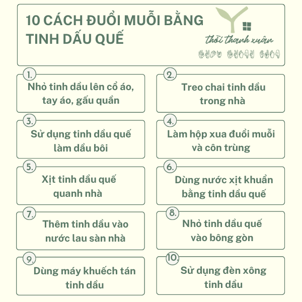 10 cách đuổi muỗi bằng tinh dầu quế