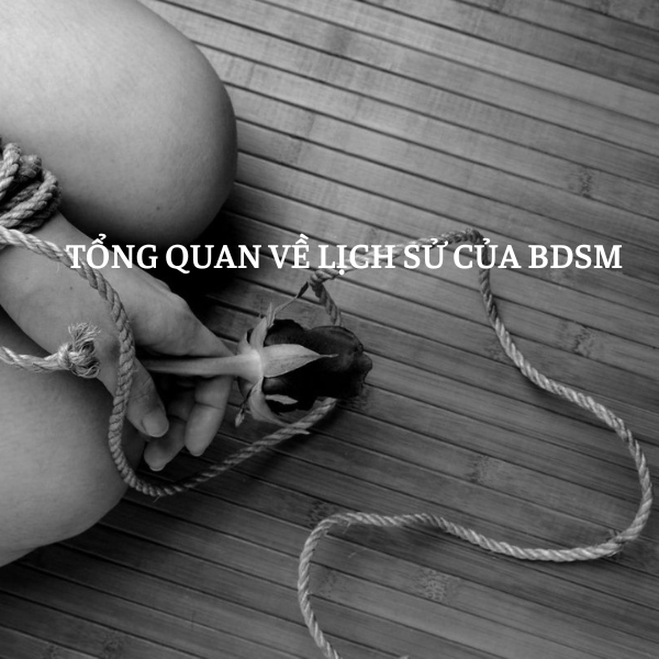 tổng quan về lịch sử của bdsm