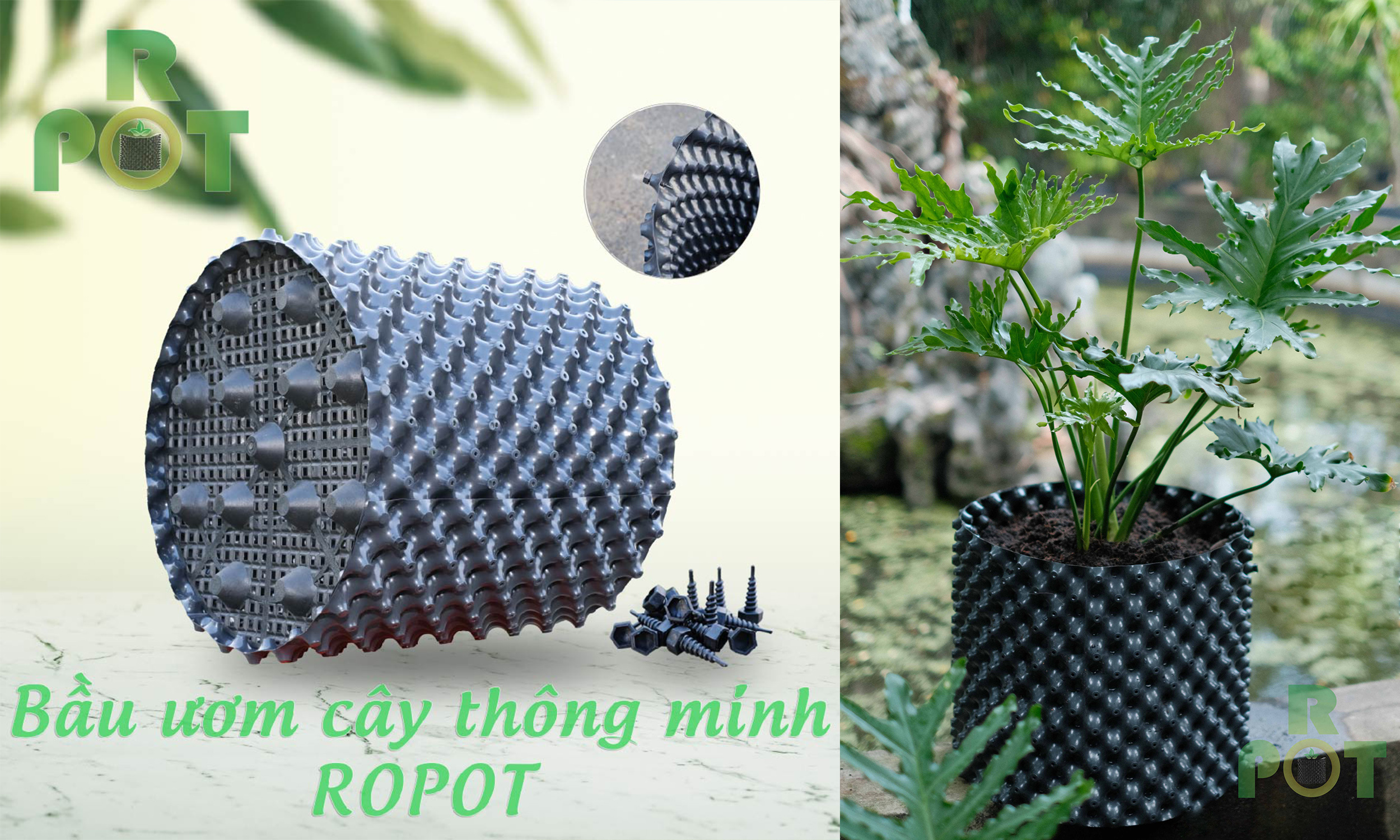 bau-uom, bau-uom-ropot, bau-uom-cay-thong-minh-ropot, bau-uom-v6