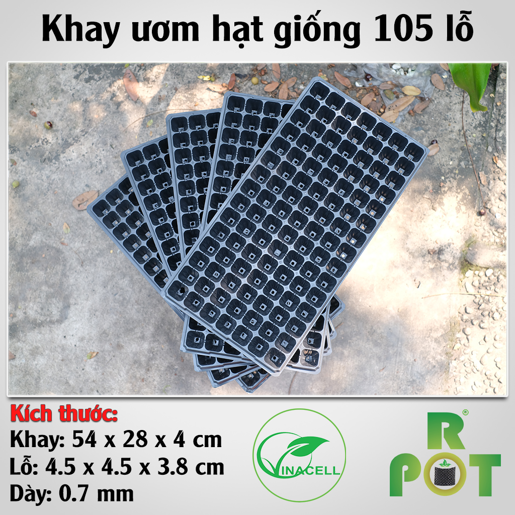 khay-uom-hat-giong-ropot